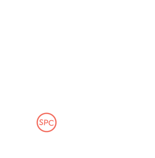 SPC Box Icon